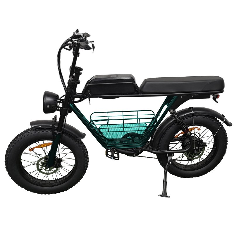 20inch Off Road Ebike Mountain Bike Ruihe S1 Electric Fat Bike with 1000W Brushless Motor Hybrid Bike