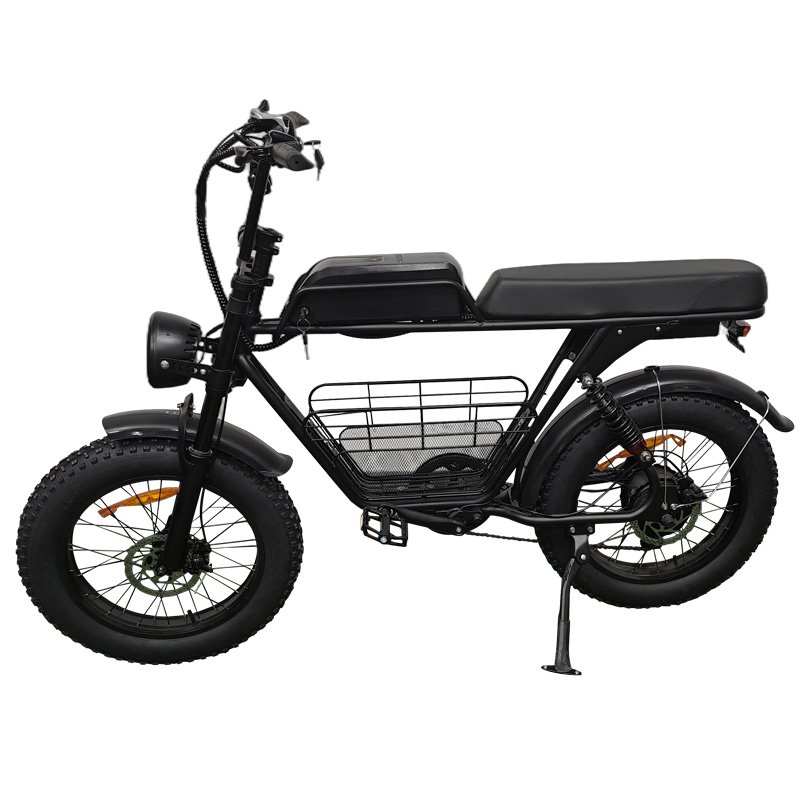 20inch Off Road Ebike Mountain Bike Ruihe S1 Electric Fat Bike with 1000W Brushless Motor Hybrid Bike