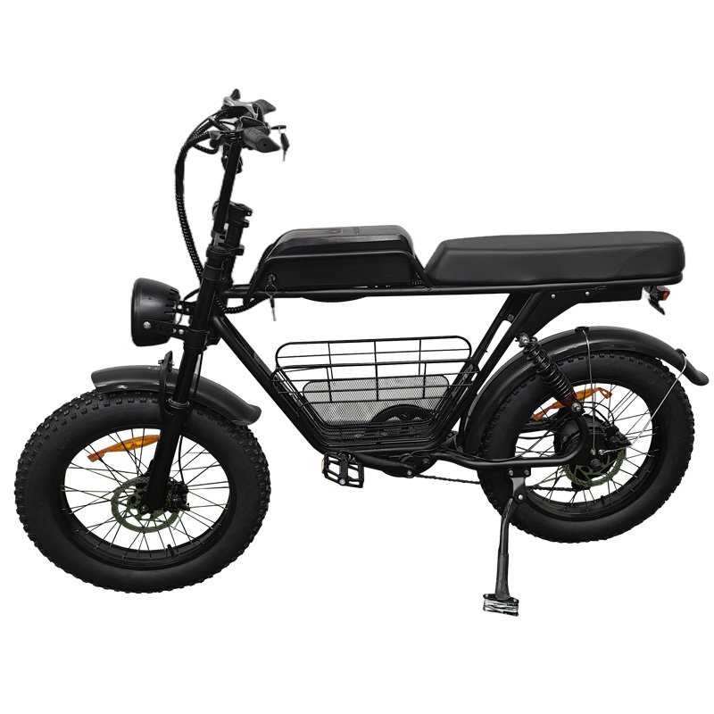 20inch Off Road Ebike Mountain Bike Ruihe S1 Electric Fat Bike with 1000W Brushless Motor Hybrid Bike