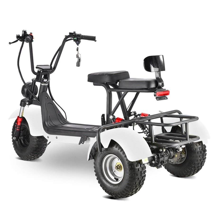 New Arrival Practical Professional 800w off-Road Adult Electric Tricycle Bike Tricycle Electric Car