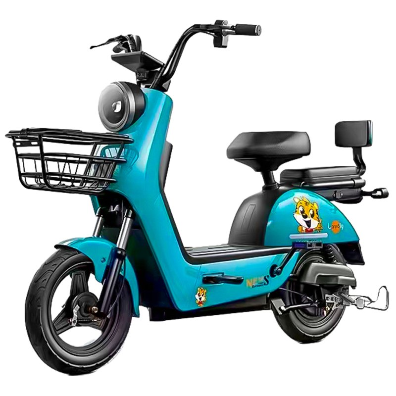Factory 48V 20Ah Rear Hub Noiseless LCD Electric City Bike 6-Tube Digital Controller Sensor Beautiful Electronic Rear Carrier