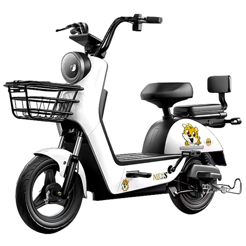 Factory 48V 20Ah Rear Hub Noiseless LCD Electric City Bike 6-Tube Digital Controller Sensor Beautiful Electronic Rear Carrier