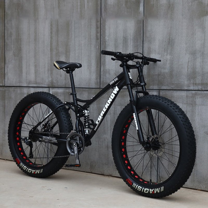 Popular Good for Exercise Variable Speed Fat Tire Fat Wheel Mountain Dirt Bike for Adult