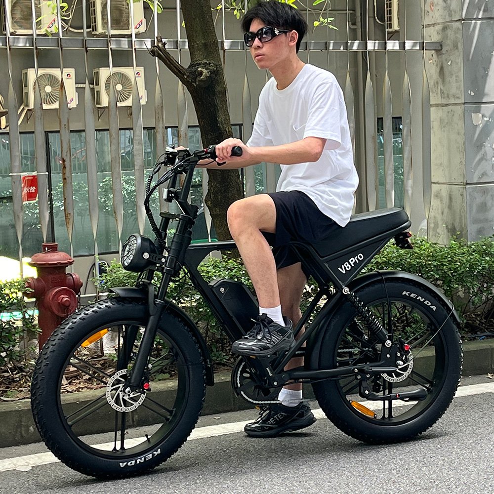 V8 Pro Plus 1000W 48V Electric Bike for Adults Dual Shock AbsorbersFat Tire Ebike 24 Inch Electric Off-Road Mountain Bicycle