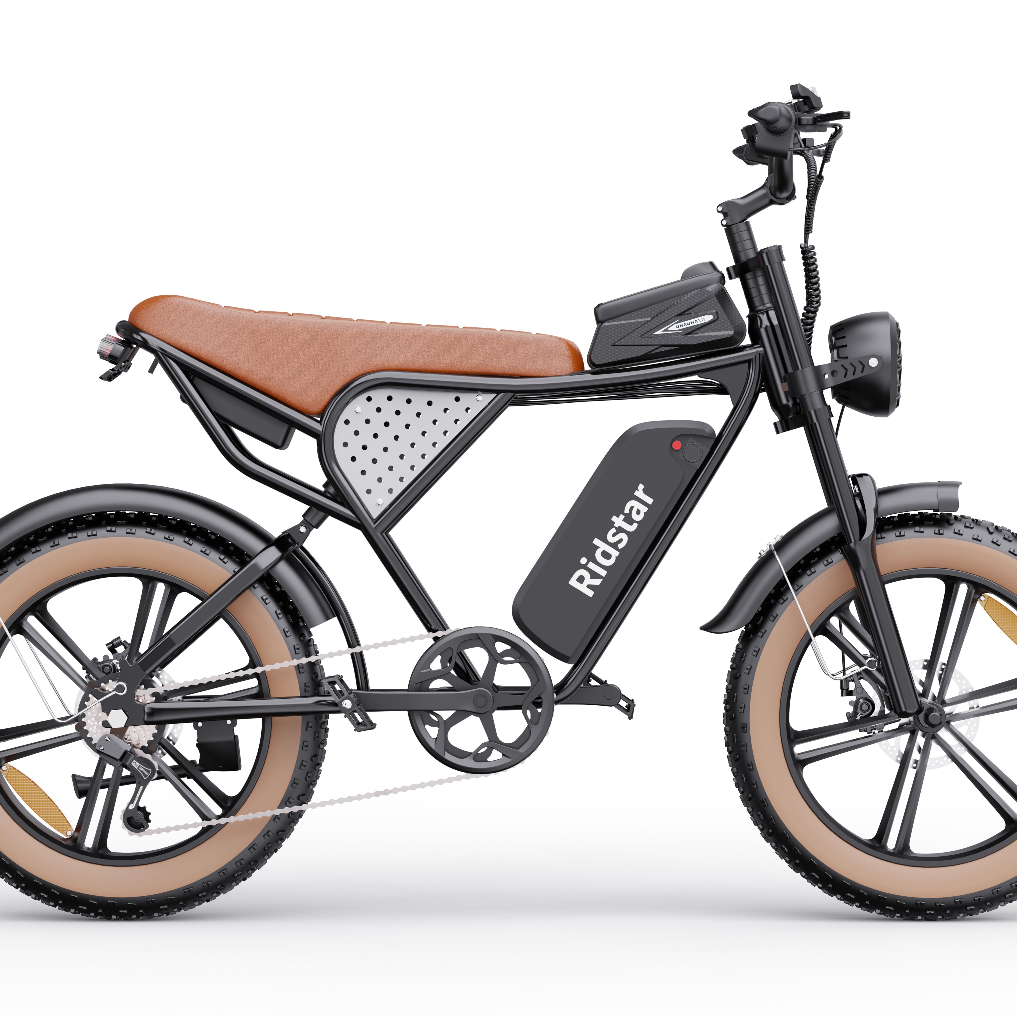 Ridstar Electric City Bike Fat Tire Best Selling New Design 1000w Powerful Ebike for Adult 20 Inch Brown or Black Color