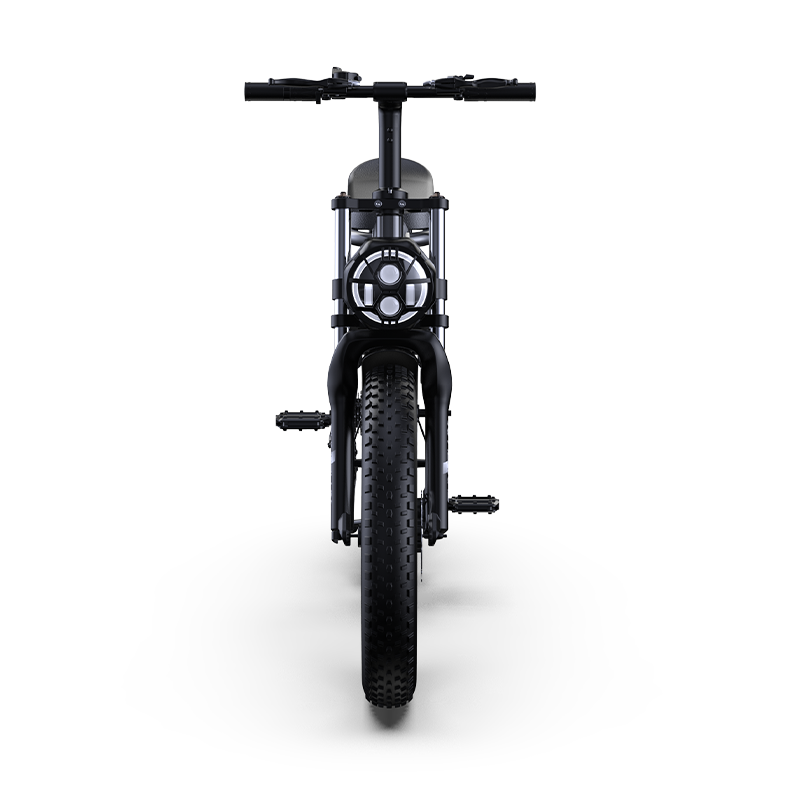 High Carbon Steel 20inch Factory Wholesale Electric Bicycle Electric City Bike 2 Wheel Size Electric Bike