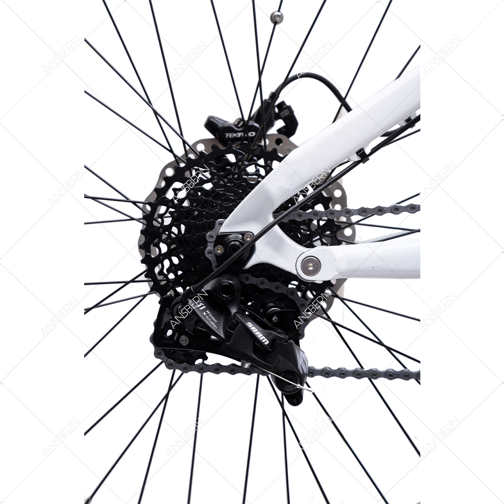 New Arrivals Full Suspension 1000W 48v Bafang Mid Drive Electric Mountain Bike
