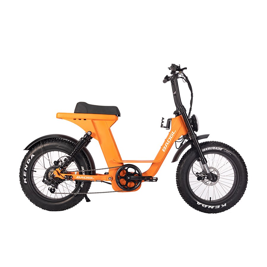 2024 new trend model electric fat tire bike 250w-1000w motor high quality custom electric hybrid city bike