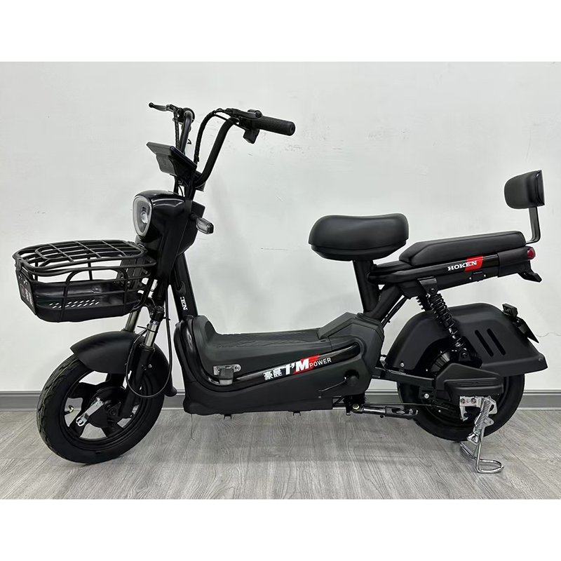 Cheap Fashion High Speed Electric Scooters 2 Wheel Quad Electric Mountain Bikes For Sale