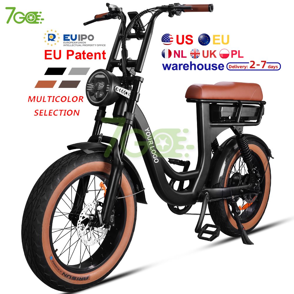 7GO EB2 1000W Hybrid Bike 20inch 48V Electric Mountain Bicycle Off Road Electric City Bike V8 Fat bike 250W Ebike