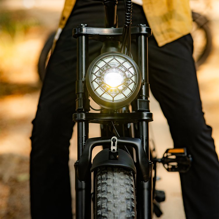 Good Quality Factory Directly Lithium Battery Bike 48v 1000w For Sale Electric Mountain Bike Electric City Bike G60