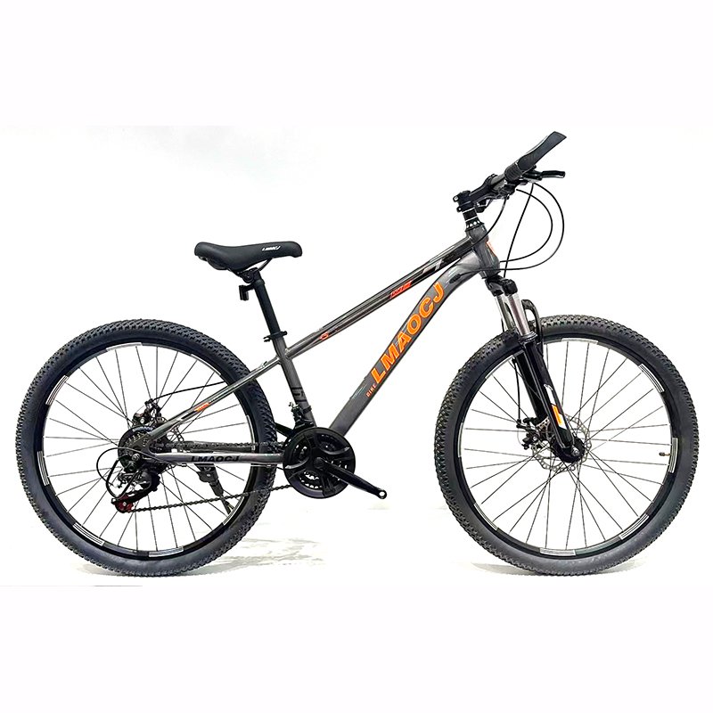 Factory wholesale hot sale 21speed mountain bike 24inch 26inch 27.5inch 29inch support Bicicleta mountain bike 29 for man
