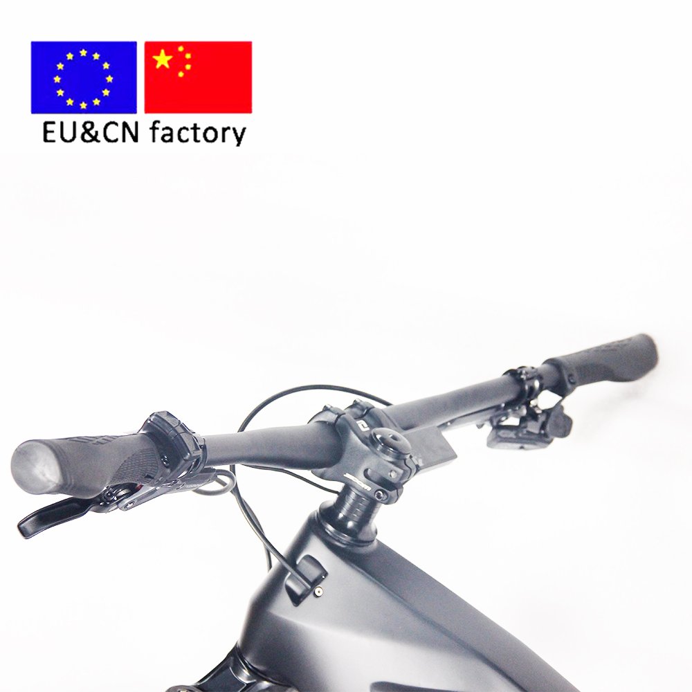 Carbon fiber electric bike hardtails electric mountain bike 48V 500W Bafang M560 mid motor ebike