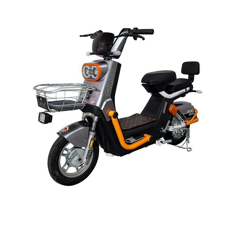 New Paige 60v1000w brushless motor e bike city electric bicycle 2 wheel 12 tube ultra quiet controller e-bike with OEM/ODM ebike