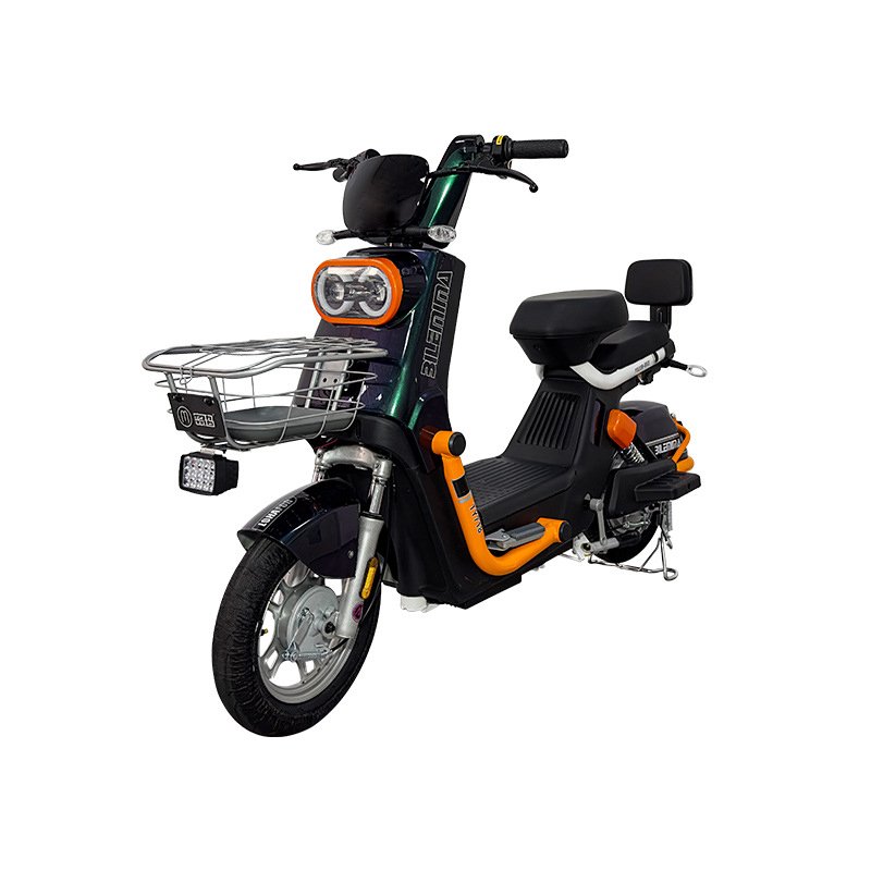 New Paige 60v1000w brushless motor e bike city electric bicycle 2 wheel 12 tube ultra quiet controller e-bike with OEM/ODM ebike