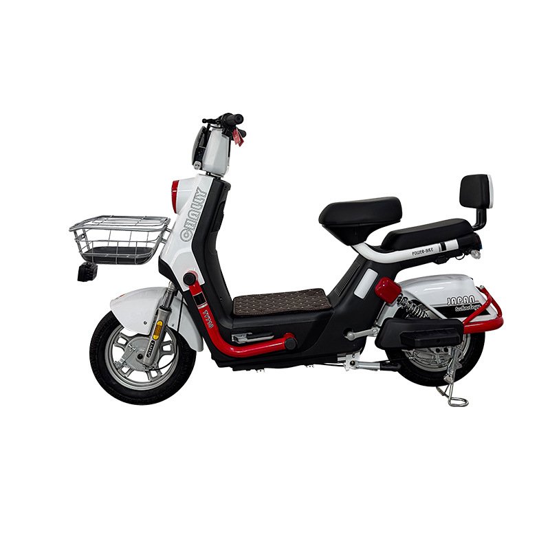 New Paige 60v1000w brushless motor e bike city electric bicycle 2 wheel 12 tube ultra quiet controller e-bike with OEM/ODM ebike