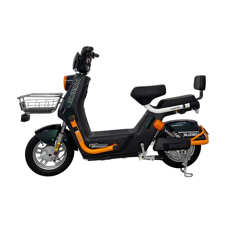 New Paige 60v1000w brushless motor e bike city electric bicycle 2 wheel 12 tube ultra quiet controller e-bike with OEM/ODM ebike