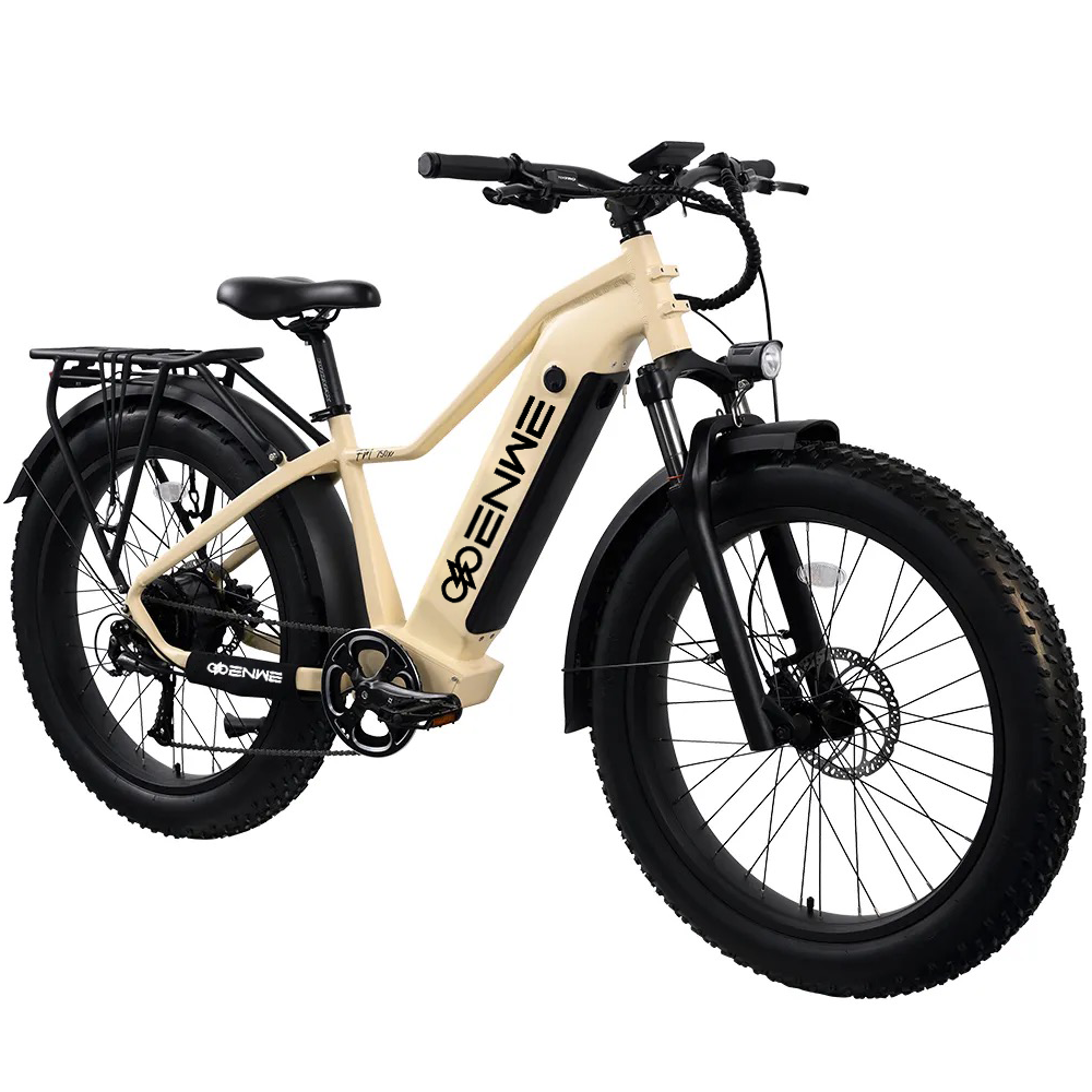 Enwe High Quality 8 Speed Top Speed 28 MPH Ebike 48V/20AH 960WH Battery Electric Bike