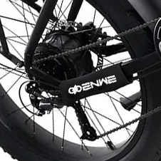 Enwe High Quality 8 Speed Top Speed 28 MPH Ebike 48V/20AH 960WH Battery Electric Bike