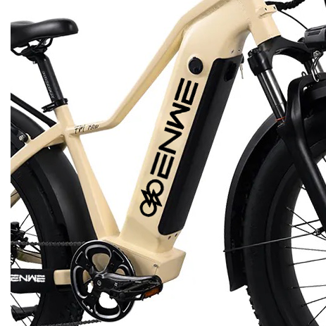 Enwe High Quality 8 Speed Top Speed 28 MPH Ebike 48V/20AH 960WH Battery Electric Bike