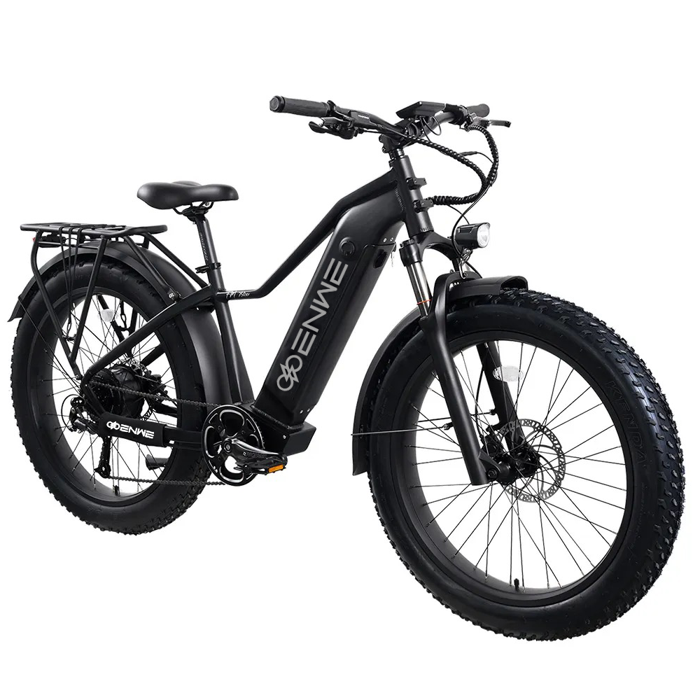 Enwe High Quality 8 Speed Top Speed 28 MPH Ebike 48V/20AH 960WH Battery Electric Bike