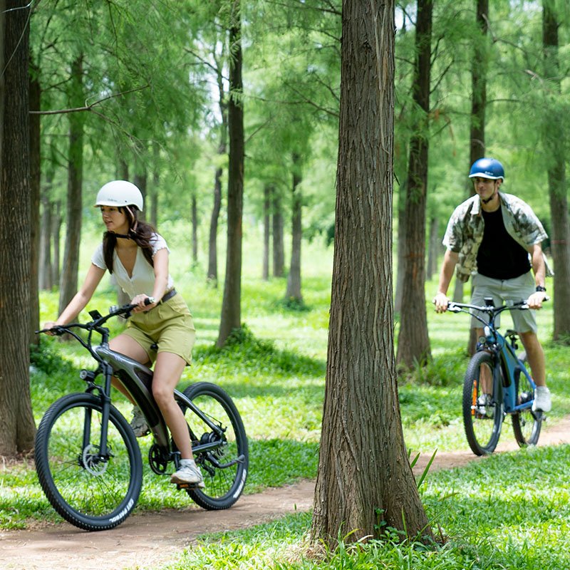 China Factory 9 Speed 48v 26 Inch 27.5Inch Electrically Assisted Bicycles All-terrain Mountain Cycle Electric City Bike