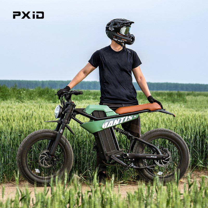 PXID P6 electric bike 750W 1200W 48V motor 20ah 35ah Lithium Battery Electric Mountain Bike