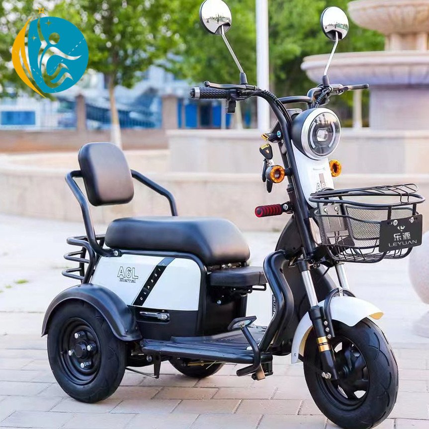 Hot Selling Adult 3-Wheel Mini Electric City Bike Freight Electric Bicycle Tricycle Motorcycle Electric City Bike Electric