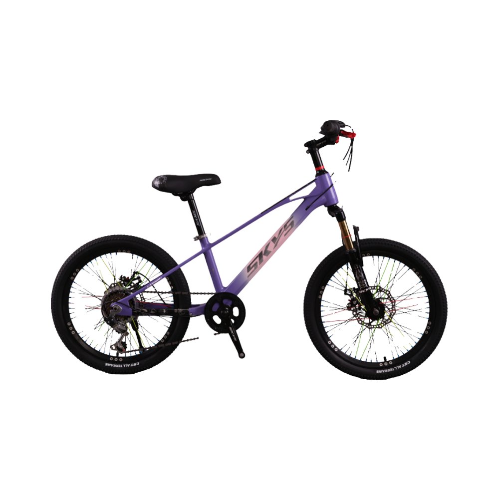 Adult bike MTB single/7speed mountain bike 20/22/24inch Magnesium Alloy Frame good quality China factory delivery ride sports