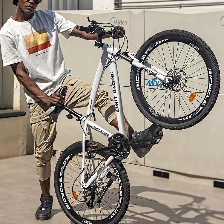 Popular 21 speed disc brake Adult mtb Bicycle 26 inch oem mountain bike/Popular 21 speed disc brake Adult mtb Bicycle 26 inch