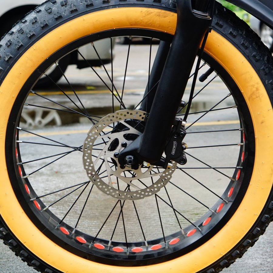 Enduro Electric Bicycle 20" Fat Tire 48V 22Ah Electric Mountain Bike, 1000W 37MPH Removable Battery, Shimano 7 Speed Grears