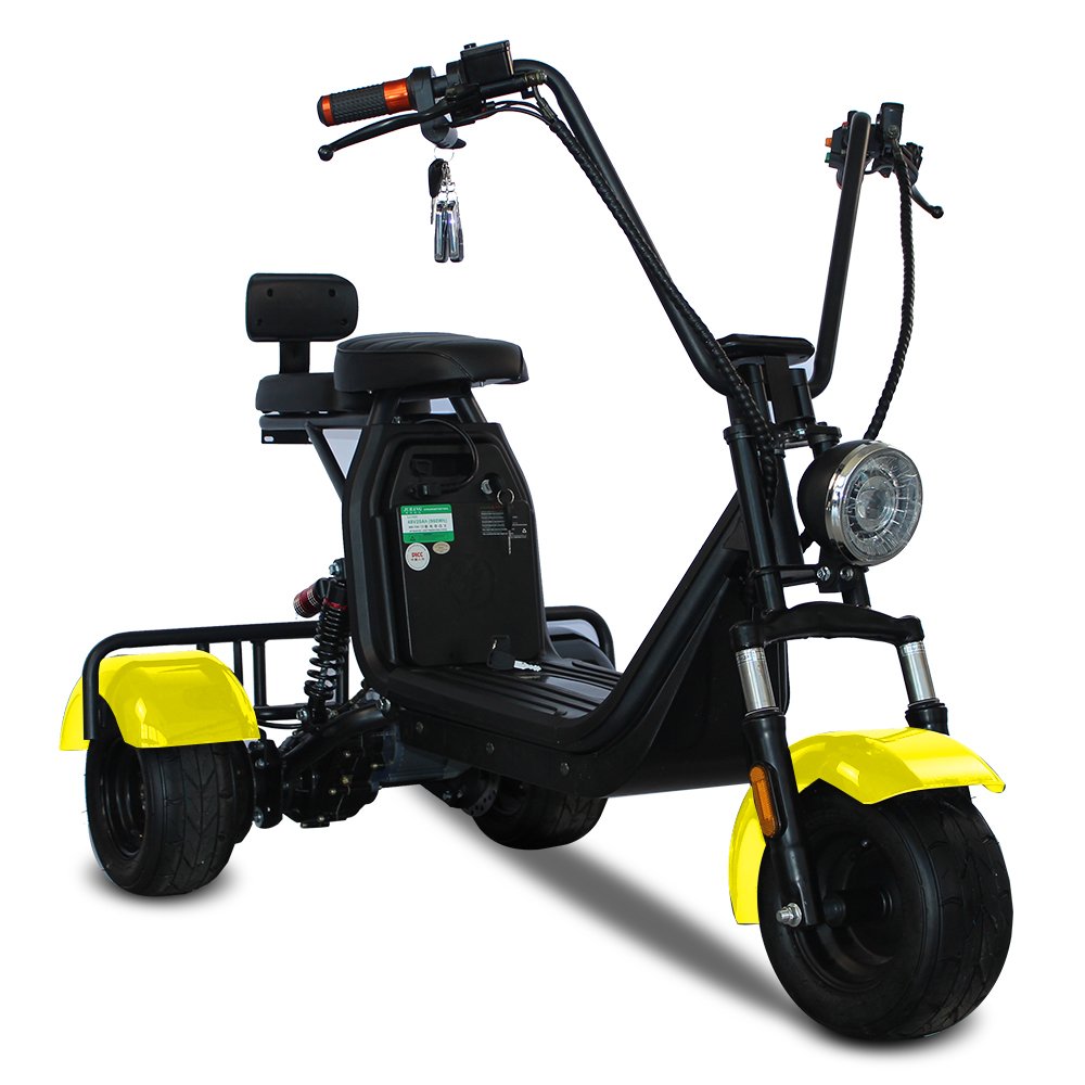 EEC/COC Certificated 2000W 1500W Double Seat electric tricycles 3 wheel Electric Scooters for adults Citycoco
