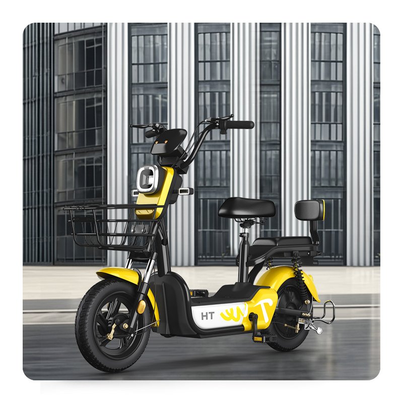 Paige Factory Wholesale 350W 48V Adult Electric City Bike Steel Frame Two-Wheeled Electric Scooter with Lead-Acid Battery