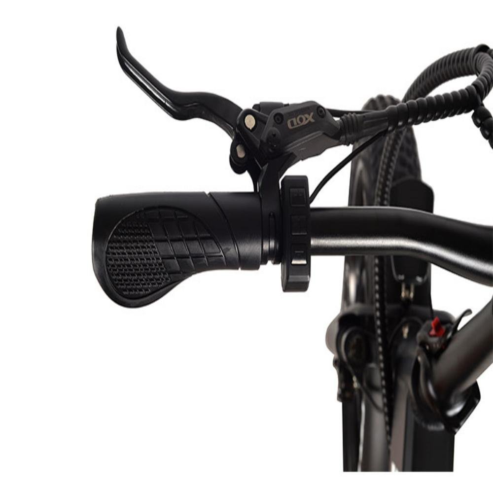 750W Electric Bike for Adults Fat Tire e-bike 48V Battery All Terrain Electric bicycle Beach Snow Bicycle Hydraulic Disc Brakes