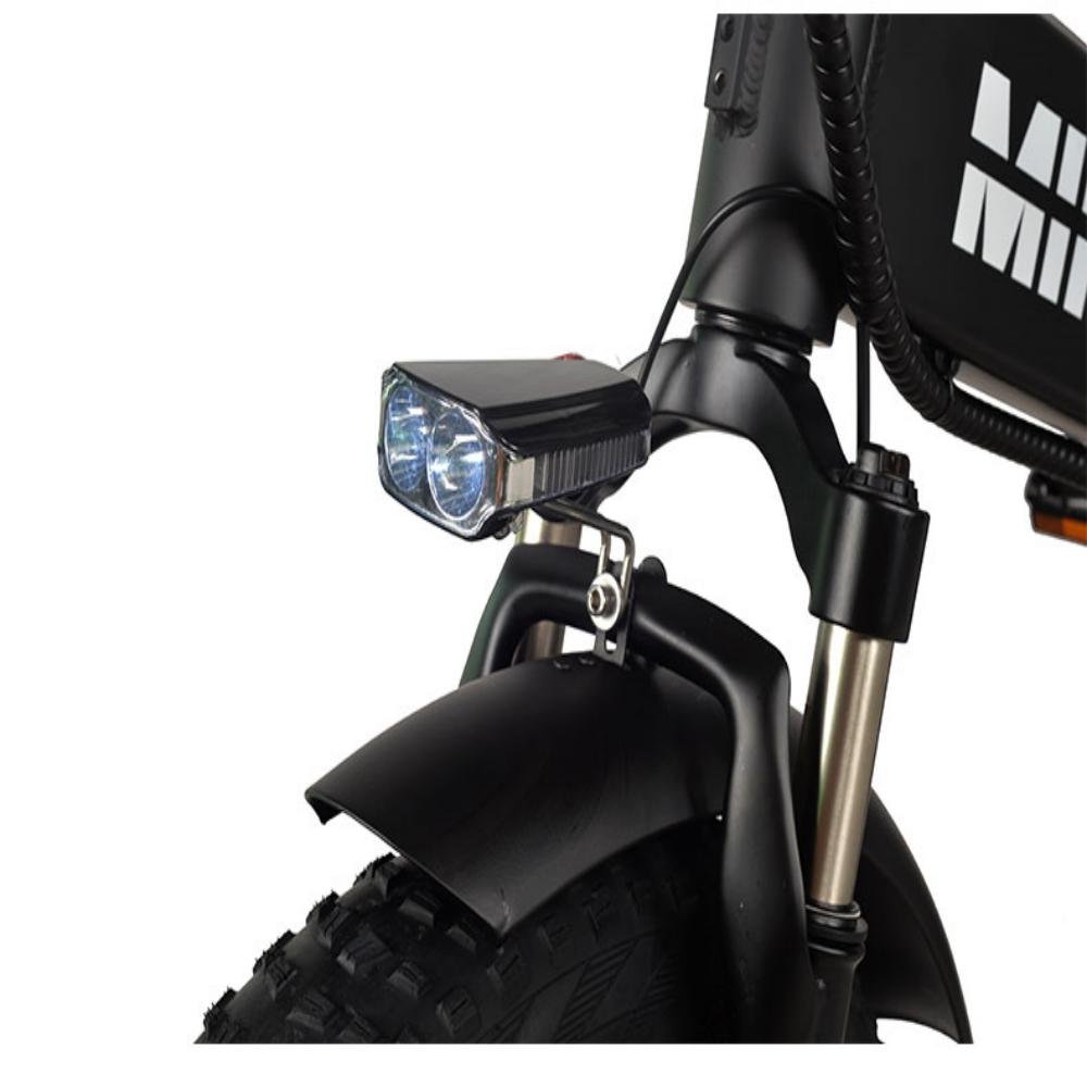 750W Electric Bike for Adults Fat Tire e-bike 48V Battery All Terrain Electric bicycle Beach Snow Bicycle Hydraulic Disc Brakes