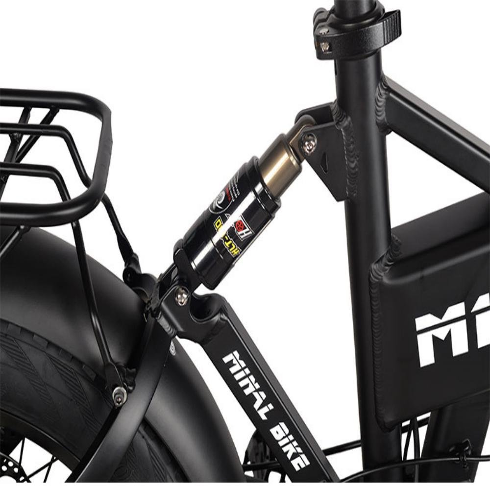 750W Electric Bike for Adults Fat Tire e-bike 48V Battery All Terrain Electric bicycle Beach Snow Bicycle Hydraulic Disc Brakes