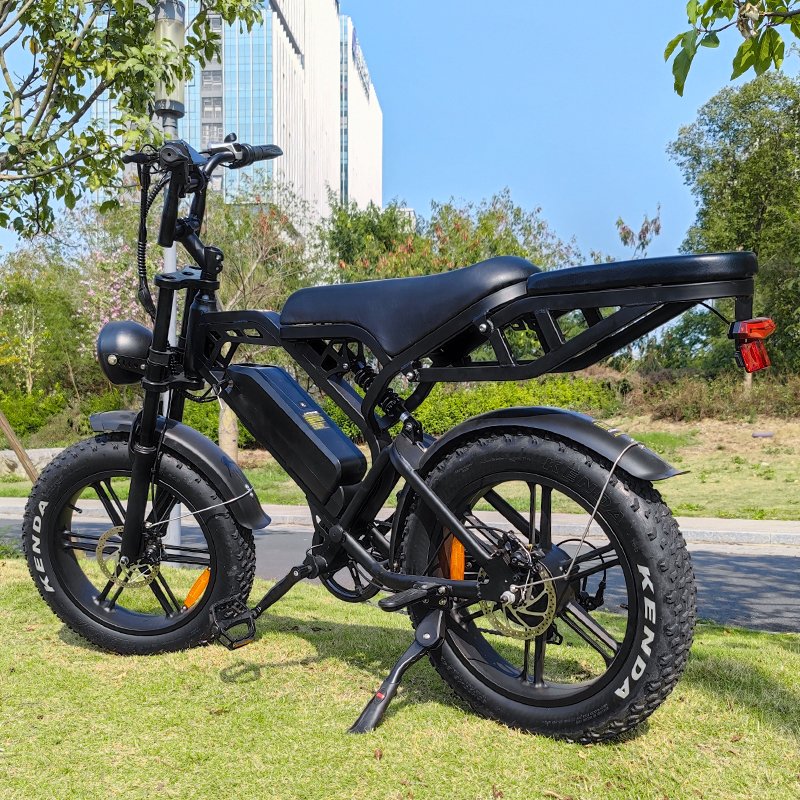 V20 electric bikes with 48V battery and 250 or 750 watt motor electric bikes designed for mountain and mud riding