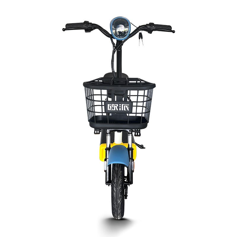 New Design 10inch Electric Bicycle 48v 60v 350w 12ah Electric Bike Electric City Bike