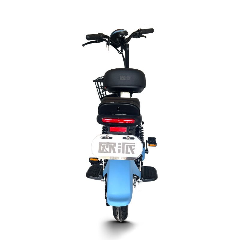 New Design 10inch Electric Bicycle 48v 60v 350w 12ah Electric Bike Electric City Bike