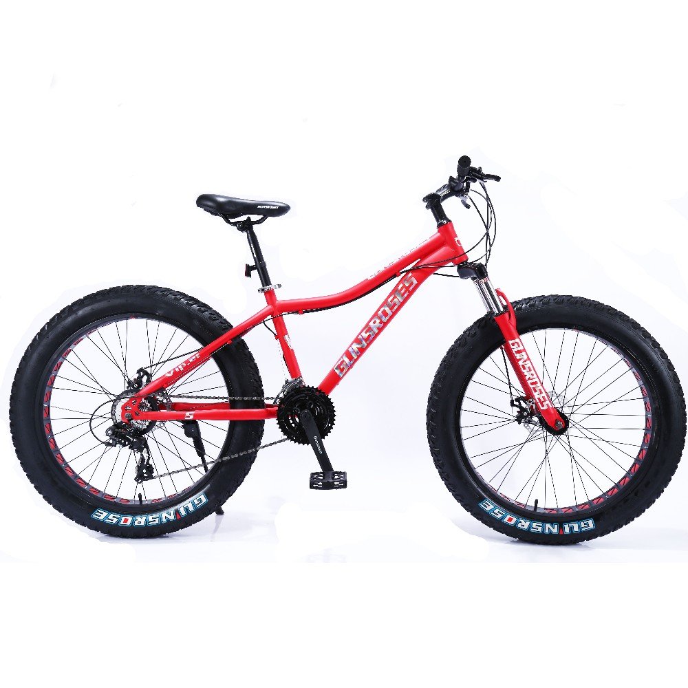 China customized adult 24 26 inch in stock fat tire other bike