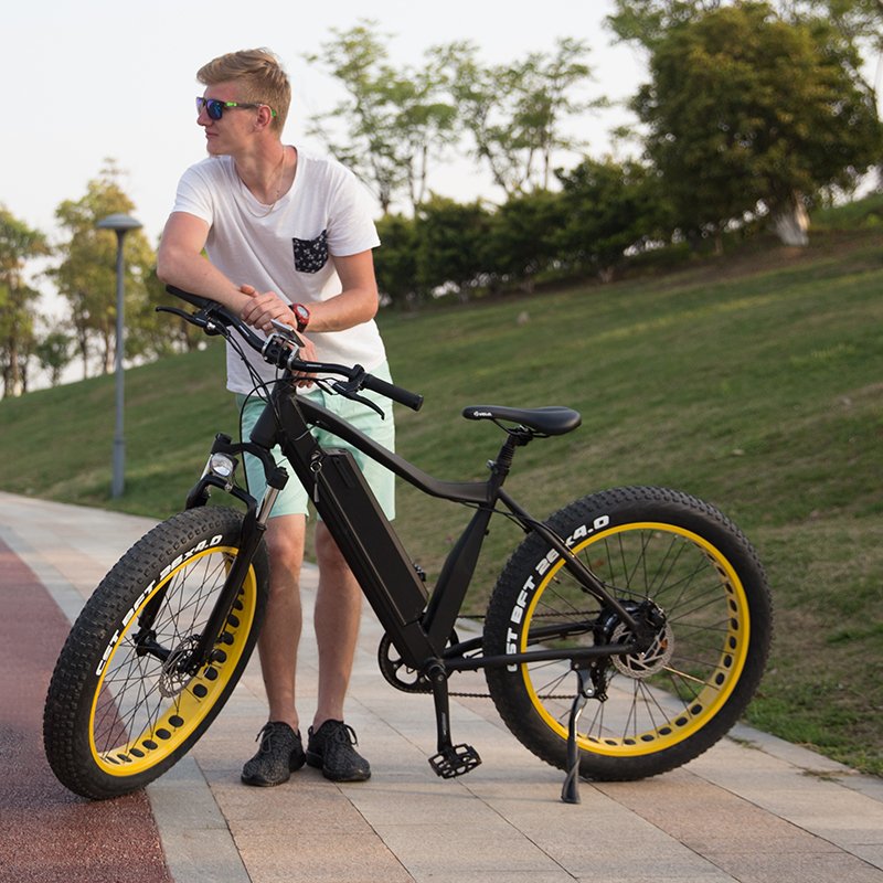 Electric Bike China 36V 48v 250W 750w Electric City Bike Motor For China Electric Bicycle