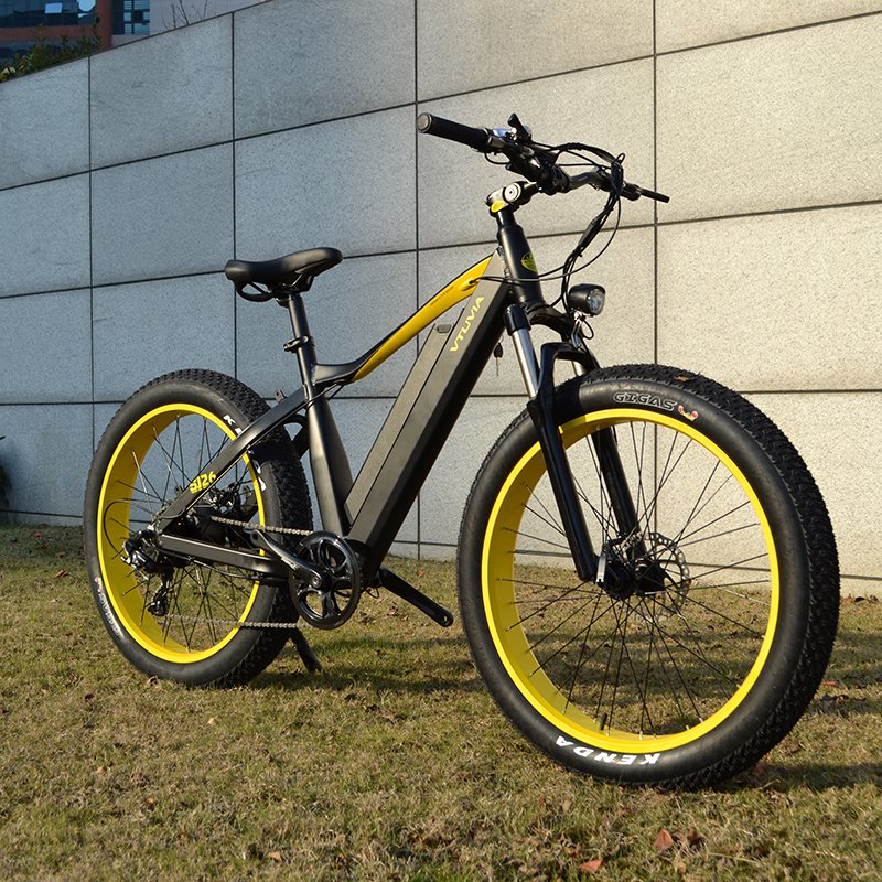 Electric Bike China 36V 48v 250W 750w Electric City Bike Motor For China Electric Bicycle