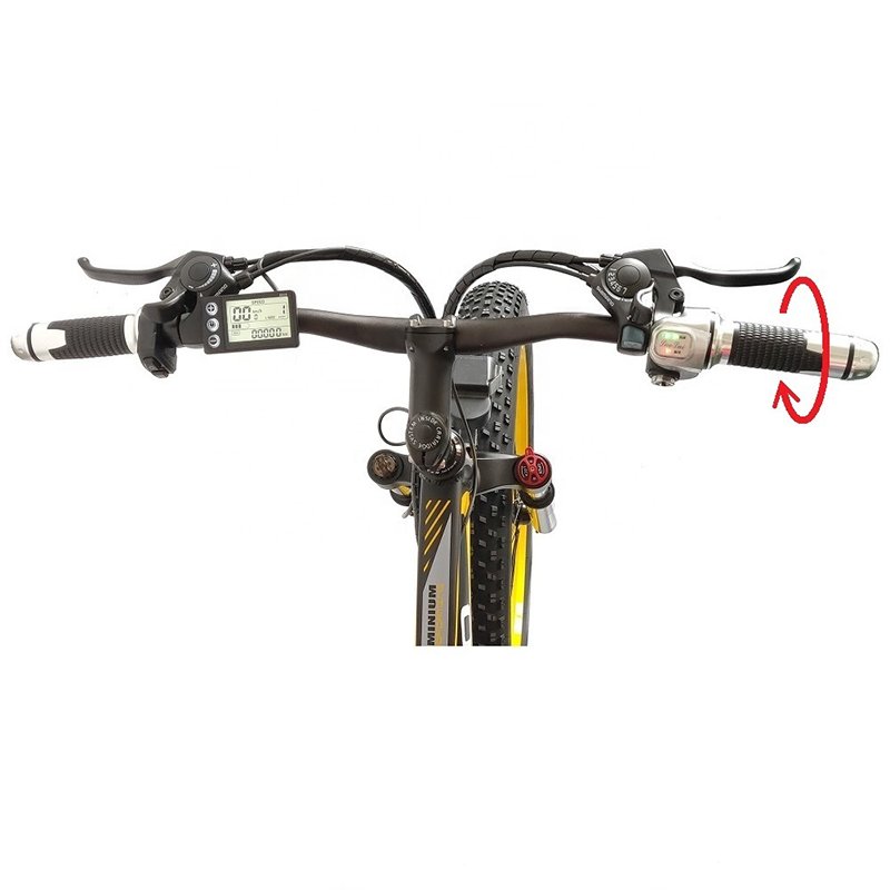 EU warehouse 1000W 48V 13AH powerful ebike 26*4 fat tire offroad electric bike 21 speed suspension electric bicycle