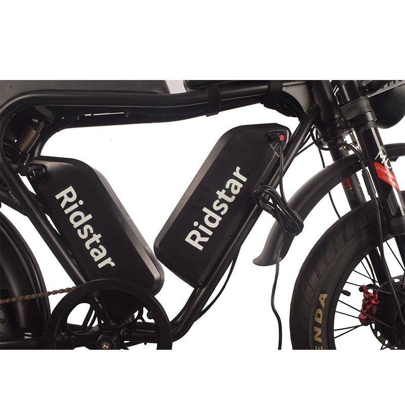 52v electric city bike electric fat tire 1000w 20ah electric road bike electric mountain bike double motors and batteries