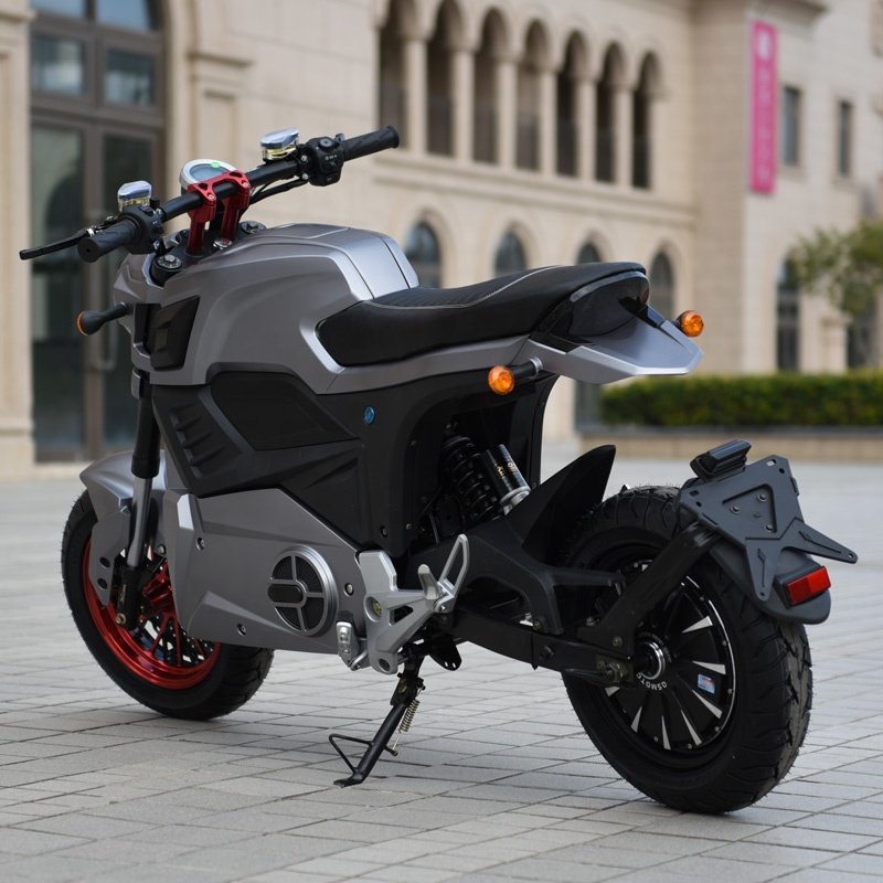 Eec Coc City Coco E Moped Monopattino Patinete Electrico Kick Scooter Electric Motorcycle Citycoco