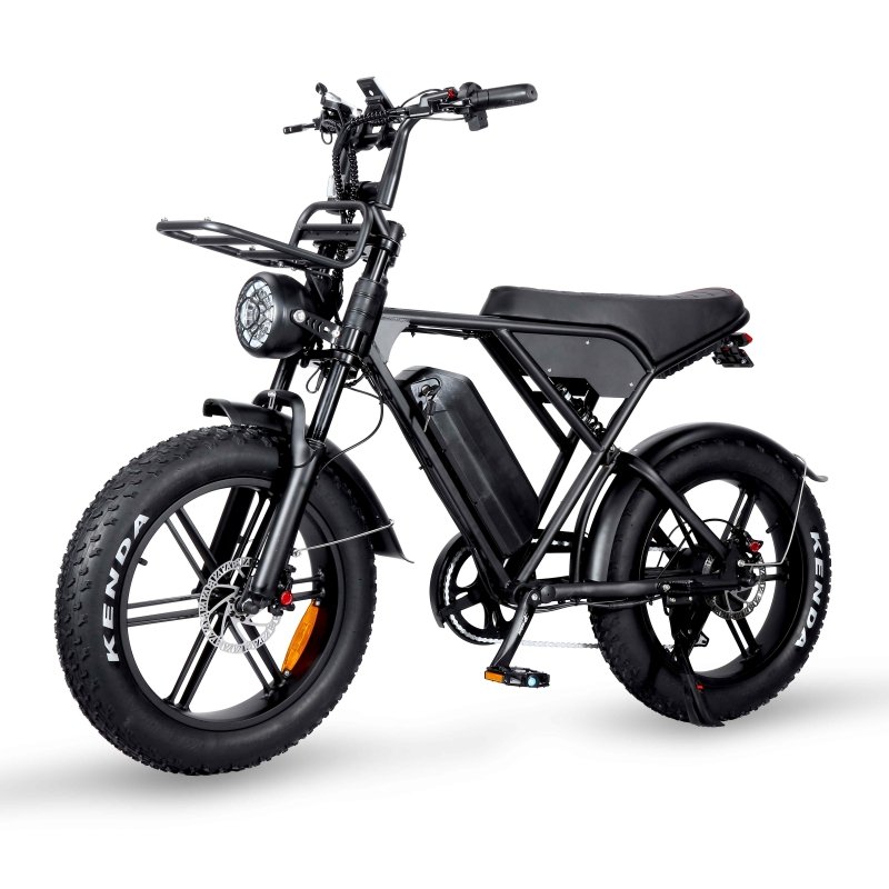 eu warehouse Tamobyke H9 Pro Folding Electric Mountain Bike 20" Wheels 4 Inch Fat Wide Tires 500W Motor 7 Speed Derailleur