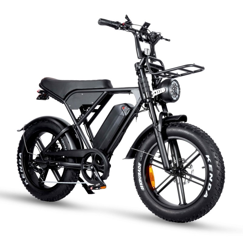 eu warehouse Tamobyke H9 Pro Folding Electric Mountain Bike 20" Wheels 4 Inch Fat Wide Tires 500W Motor 7 Speed Derailleur