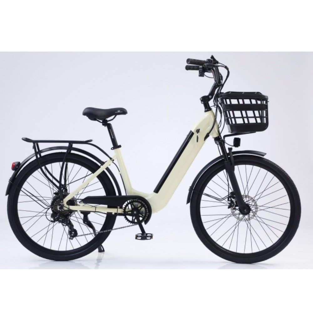 EU Germany Warehouse Stock OEM ODM Cheap 250w 36v 48v Torque Sensor Hub Motor 2 Sets Electric City Bike Bicycle Ebike