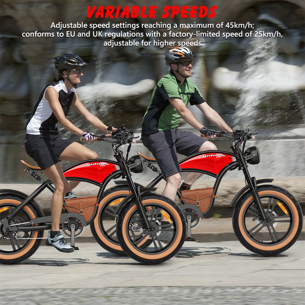 Electric Mountain Bike Hidoes B10 48V 1000W Motor 12.5ah Battery Long Range Fat Tire e bike Electric Bicycle e City Ebike