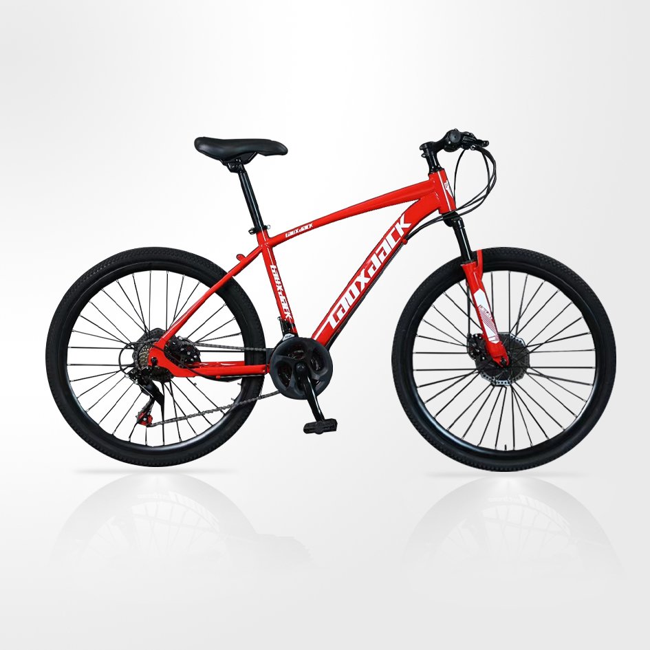 New style fashionable Outdoor cycling Mountain Bike sportbike